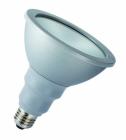 LED Lamps PAR38 Reflector